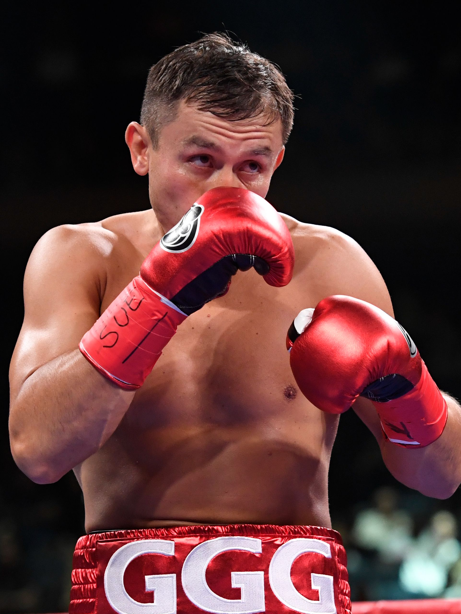 Gennady Golovkin | 「ザ・リング・マガジン」の公式